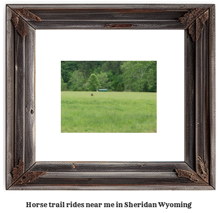 horse trail rides near me in Sheridan, Wyoming